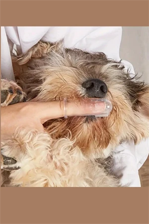 1 Adet-Silikon Evcil Hayvan Parmak Diş Fırçası – Köpek & Kedi Ağız Bakımı, Saklama Kabı Dahil - 2