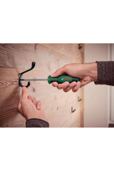 Bosch Home and Garden Tornavida Seti 6 Parça (Set 2) -1600A027PM