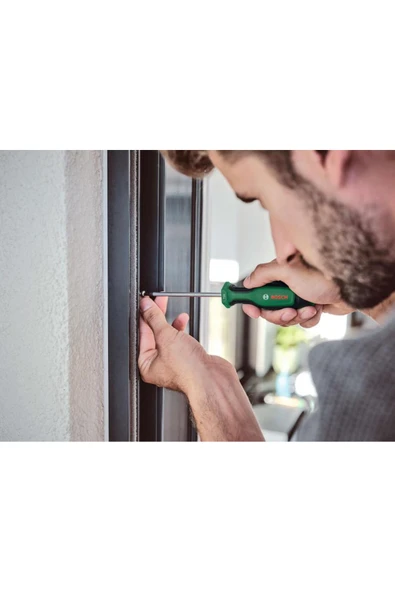 Bosch Home and Garden Tornavida Seti 6 Parça (Set 2) -1600A027PM - 4