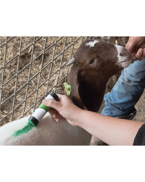 Top Marker Hayvan İşaretleme Kalemi Siyah - Resim 3