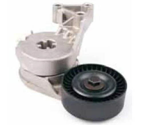 KÜTÜKLÜ GERGİ RULMANI V.KAYIŞI BORA-CADDY III-GOLF IV-V-VI-JETTA III-LUPO-MULTIVAN-NEW BEETLE-PASSAT-POLO-SHARAN-TOURAN-TRANSPORTER V 03>13 (70*24) ürün görseli