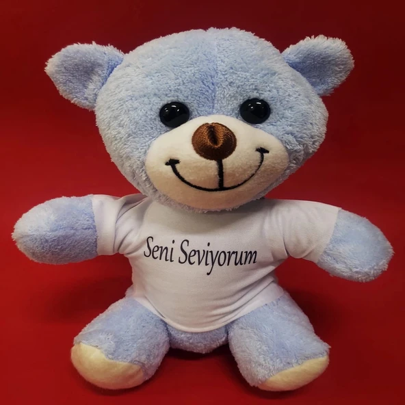 Mavi Seni Seviyorum Tişörtlü Ayı - 1