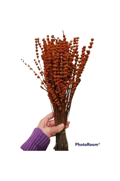 Kırmızı Şoklanmış Lavanta Demeti Buketi 100 Gram - Resim 2