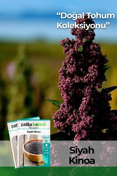 100 Adet Siyah Kinoa Tohumu ürün görseli