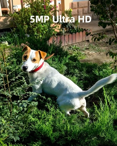 Noorio Ev Güvenlik Sistemi Smart Hub x1, B211 Kamera x3 - Resim 2