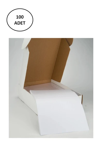 Tanex Tw-2000 210X297 Mm Lazer Etiket 100 Adet - Resim 2