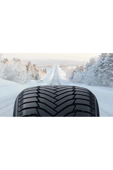 Michelin 205/55 R16 91H Alpın6 Michelin Kış - 1