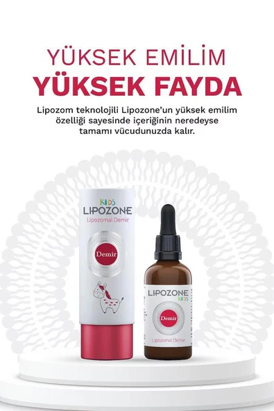Lipozone Kids Lipozomal Demir Drop 15 ml 2 Adet - Resim 2