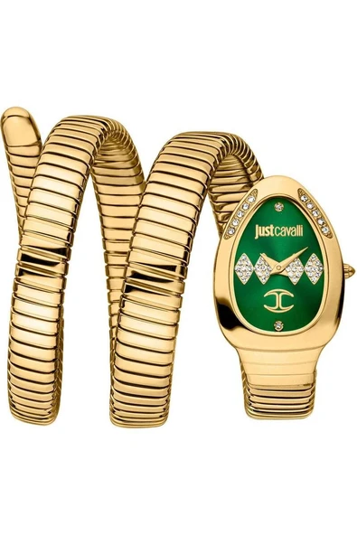 JUST CAVALLI JC1L230M0045 Kadın Kol Saati ürün görseli