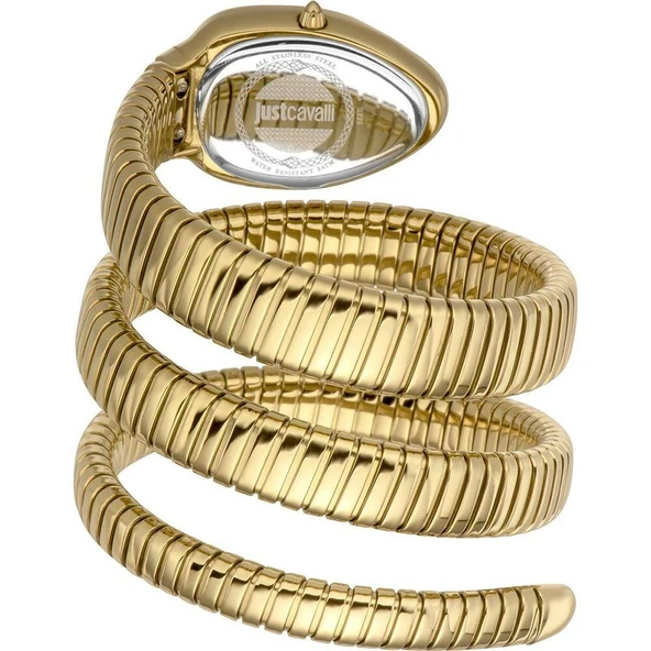 JUST CAVALLI JC1L224M0035 Kadın Kol Saati - Resim 2
