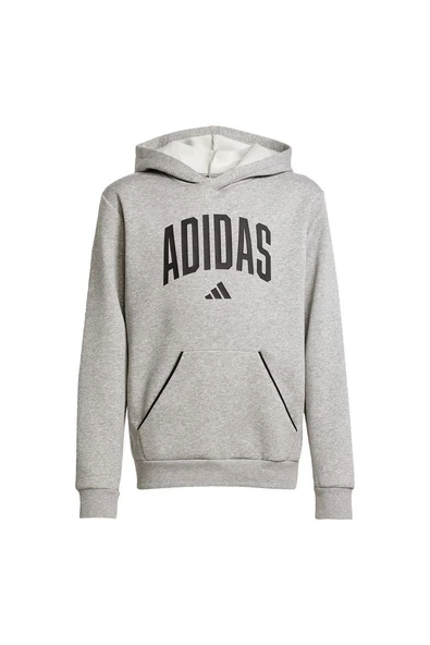 adidas Çocuk  Gri  Sweatshirt J CLGT OH FL HD JV7336 ürün görseli 1