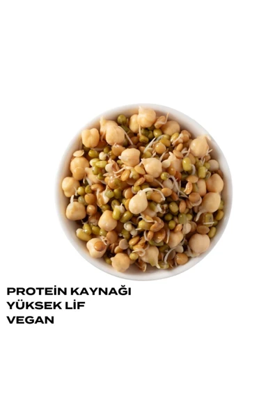 THE GOOD WILD Fermante Salata Miks Karma 6'lı Paket - 2