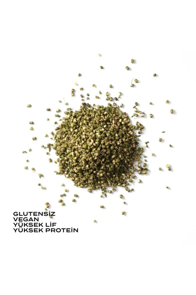 THE GOOD WILD Glütensiz Filizlendirilmiş Maş Fasulyesi 175 G - 2