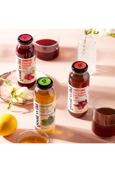 THE GOOD WILD Karışık İçecek Paketi (9x250 ml) - 2