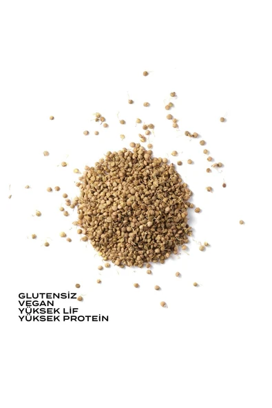 THE GOOD WILD Glütensiz Filizlendirilmiş Yeşil Mercimek 175 G - 2