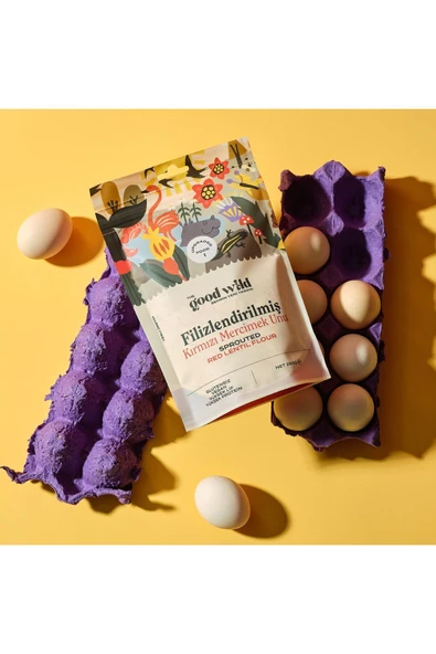 THE GOOD WILD Glütensiz Filizlendirilmiş Kırmızı Mercimek Unu 300 G - 3