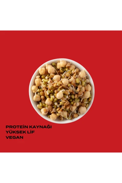 THE GOOD WILD Fermante Salata Miks Acılı 3'lü Paket - 2