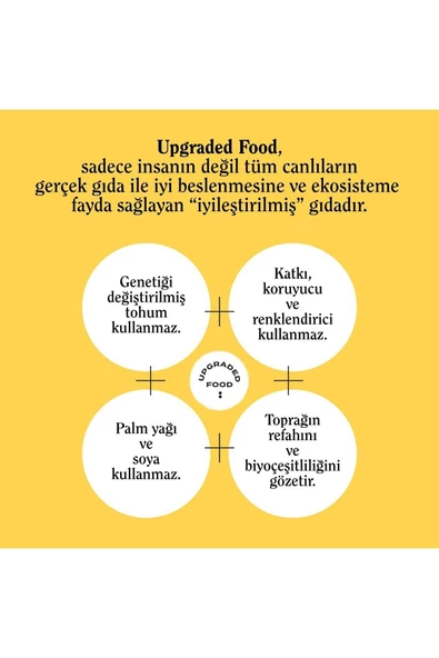 THE GOOD WILD Glütensiz Granola Çilekli Çikolatalı 300 G - 5