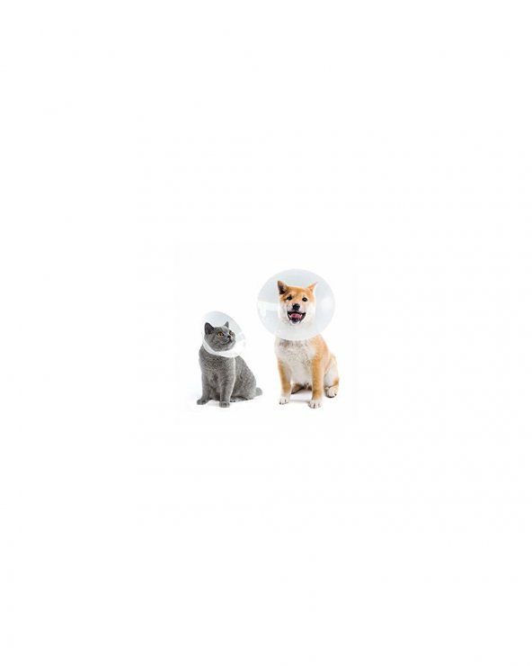 Kedi ve Köpek için Ekonomik Yakalık 75 mm - 2