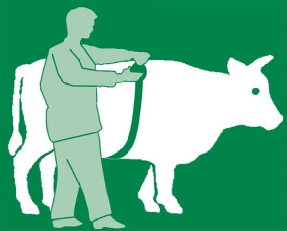 Danametre (Kilo ölçer) ithal - 4