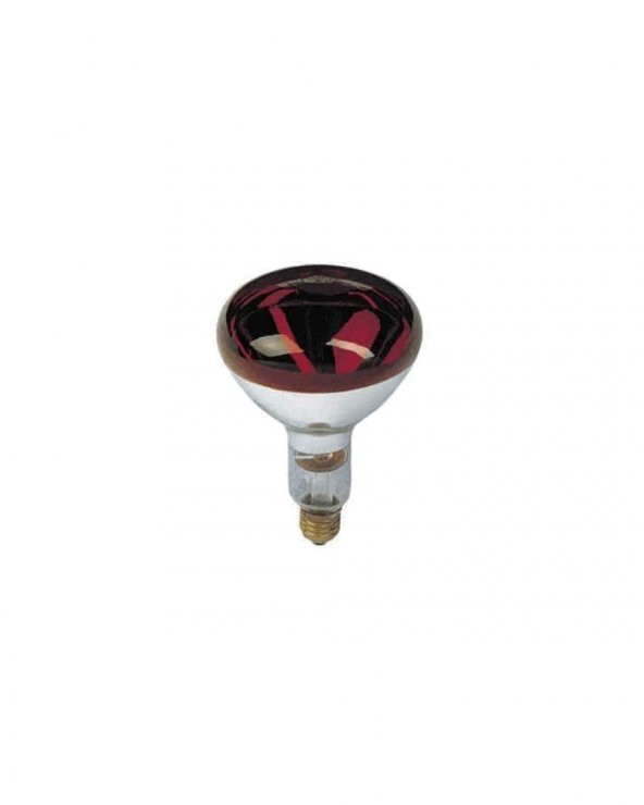Isıtıcı Ampul 250 Watt - 6