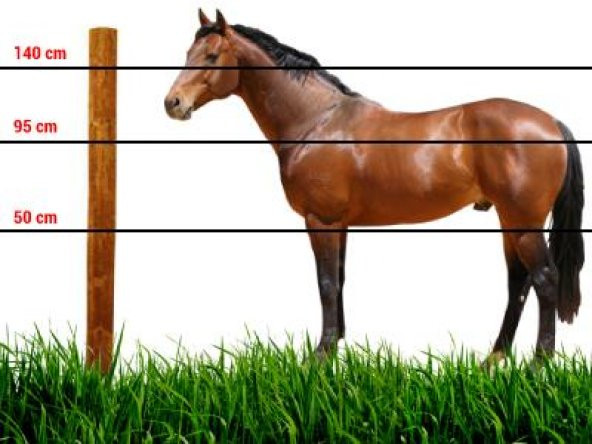 0 - 400 Metrekare Arası Elektrikli Çit Eko Paket - 2