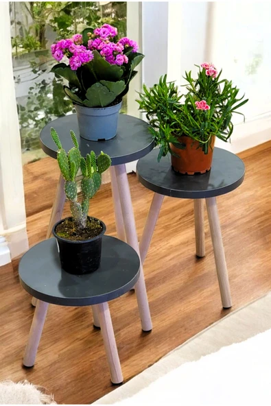 PEKA Ahşap Ayaklı 3’lü Saksılık Dekoratif Raf Çiçeklik Saksı Çiçek Standı - Resim 3