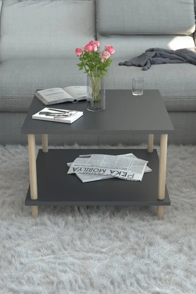 PEKA Kare Orta Sehpa Ahşap Ayaklı Sehpa Iki Raflı Sehpa Dekoratif Sehpa Gazetelikli-antrasit - 60x60 - Resim 2