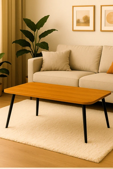 PEKA Dekoratif Dikdörtgen Orta Sehpa Siyah Ahşap Ayaklı Şık Tasarım ürün görseli 1