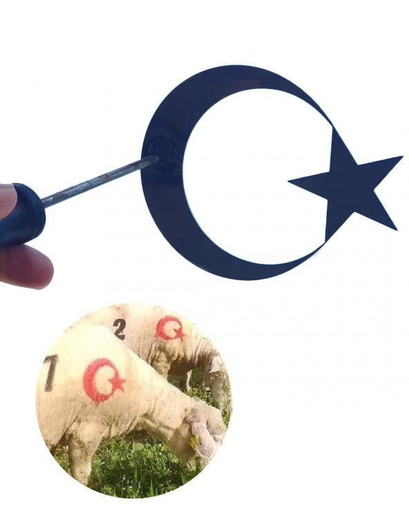 Tek Ay Yıldızlı İşaretleme Damgası - 2