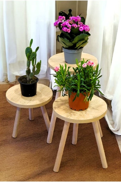 PEKA Ahşap Ayaklı 3’lü Saksılık Dekoratif Raf Çiçeklik Saksı Çiçek Standı - Resim 3