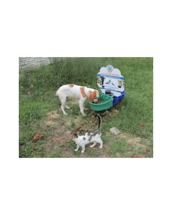 Sokak Hayvanları Su ve Mama Kabı Tekli tip - Resim 5