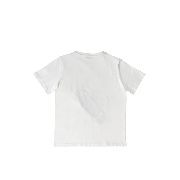 Baskılı Erkek T-shirt - Resim 4