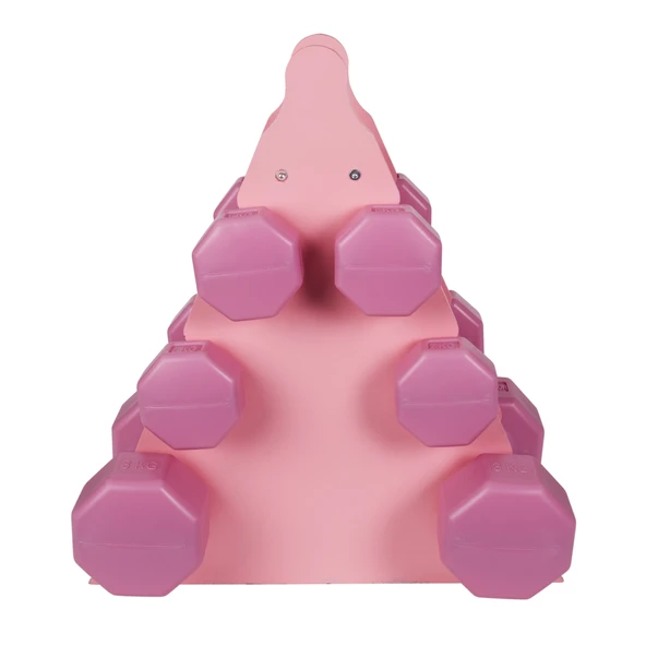 PSSPOR 3 Set Pembe Renk Dambıl Seti + Stand ( 2 Adet 1KG - 2 Adet 2KG - 2 Adet 3KG + Stand ) - 5
