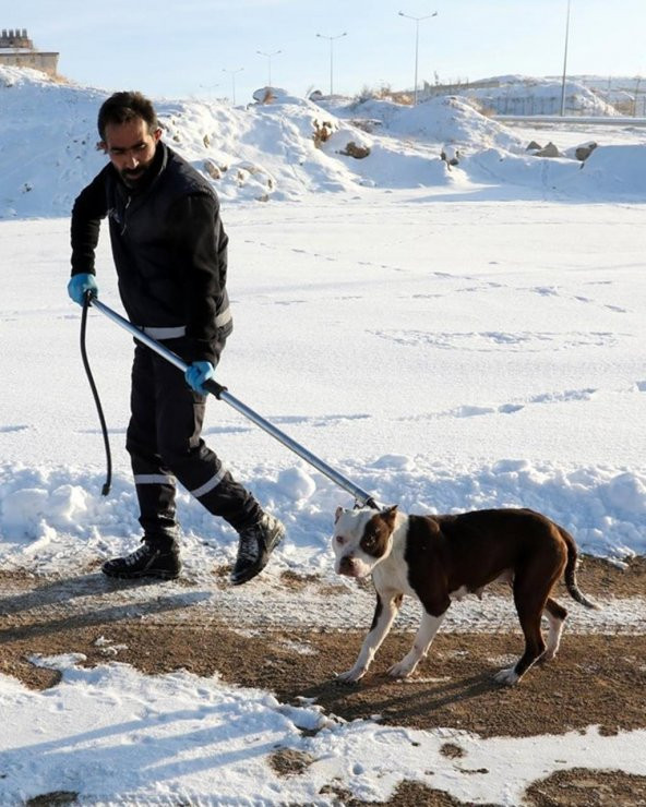 Köpek Yakalama Aleti 150 cm