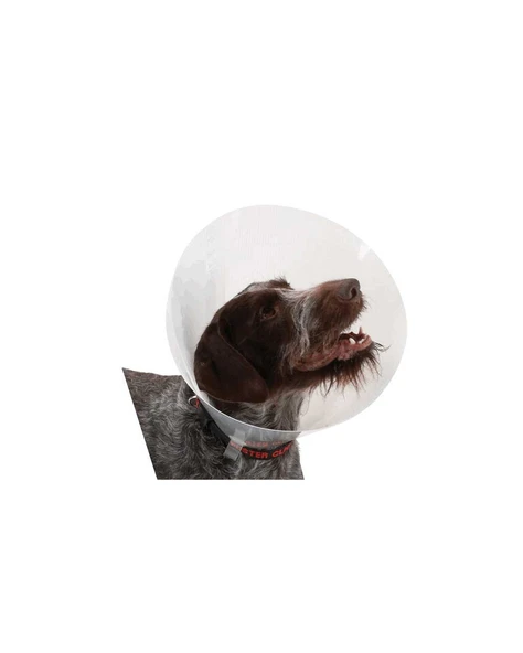 Elisabeth Yakalık 300 mm ürün görseli 1