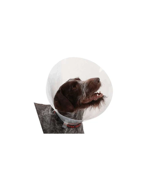 Elisabeth Yakalık 200 mm - Resim 2