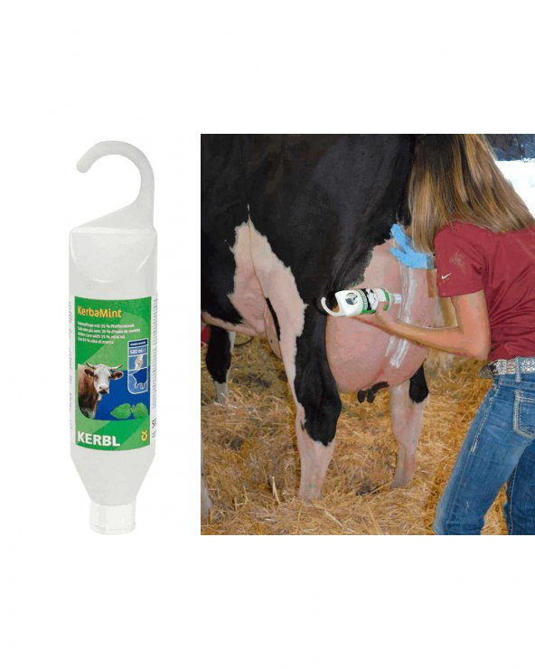 Kerbamint Japon Nane Yağı 500 ml - 2