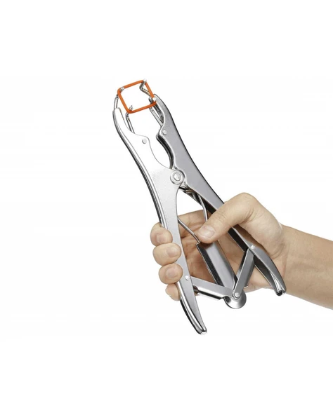 Pensi Kruuse - Resim 2