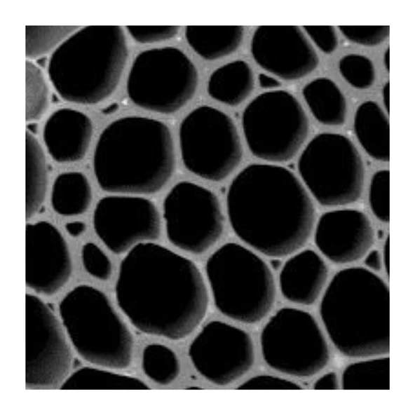 PreChar Meşe Odunu Bazlı Karbon Toprak Düzenleyici 1L Biochar - 2