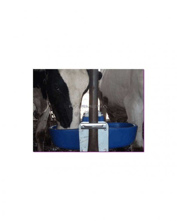 İnek Suluğu İkili - 5