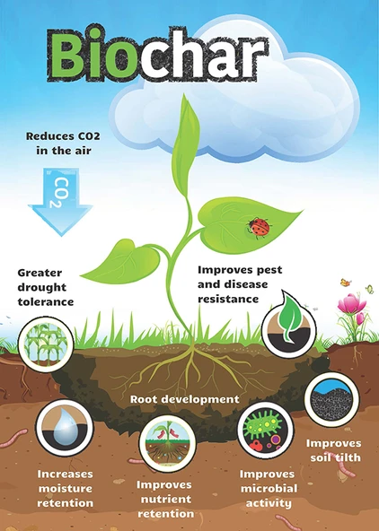 PreChar Meşe Odunu Bazlı Karbon Toprak Düzenleyici 1L Biochar - 4