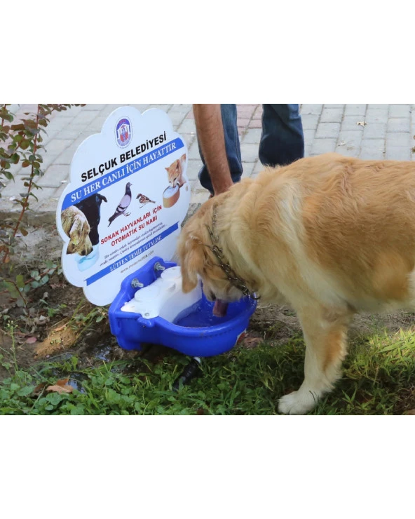 Sokak Hayvanları Su Kabı Tekli
