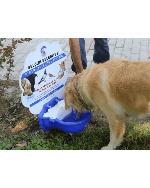 Sokak Hayvanları Su Kabı Tekli - 5