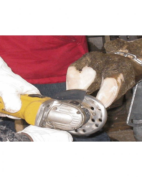 Tırnak Kesme Diski 3 Dişli - Resim 5