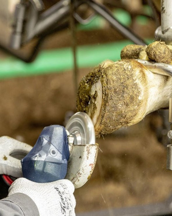 Tırnak Kesme Diski 6 Dişli Eko - Resim 2