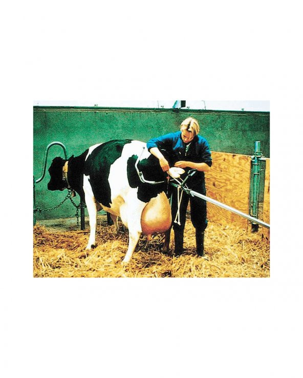 Vink Doğum Krikosu 180 CM - Resim 3