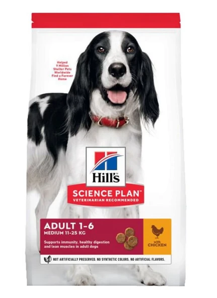 Hill's Tavuklu Orta Irk Açık Yetişkin Köpek Maması 1 KG