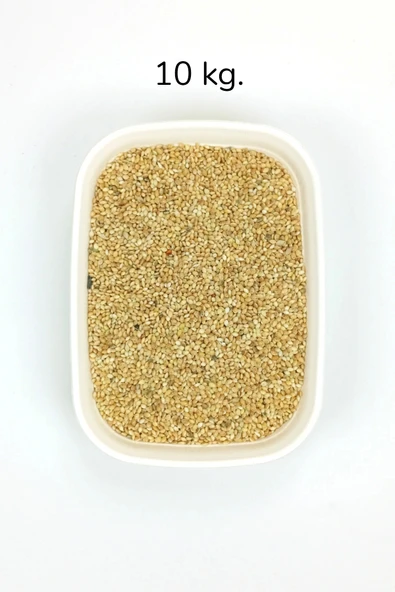 Muhabbet ve Tüm Egzotik Kuşlar İçin Doğal Taze Tane Sarı Darı - 10 kg