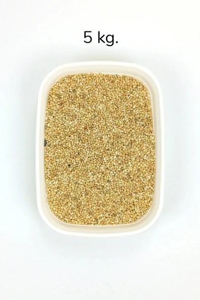 Muhabbet ve Tüm Egzotik Kuşlar İçin Doğal Taze Tane Sarı Darı - 5 kg